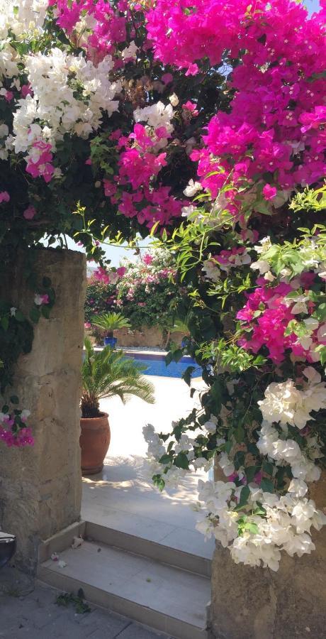 Casa Santos Kyrenia Villa Girne Dış mekan fotoğraf